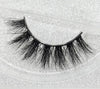 Angeluxe™ Elegance False Lashes✨